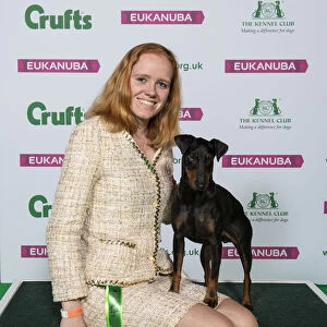 Crufts 2019 - Best of Breed / Terrier