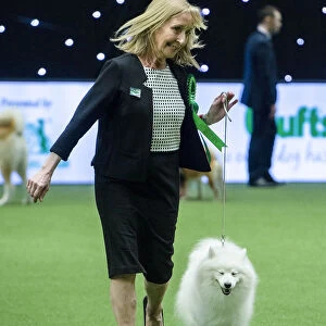 Crufts 2019 - Best of Breed / Utility