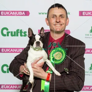 Crufts 2019 - Best of Breed / Utility