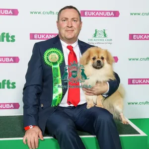 Crufts 2019 - Best of Breed / Utility Crufts 2019 - Best of Breed / Utility