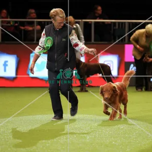 Crufts 2019 - Day One, NEC, UK - 7 Mar 2019