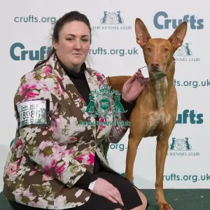 Crufts 2020