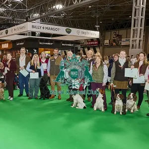 Crufts 2020