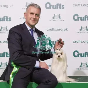 Crufts 2020