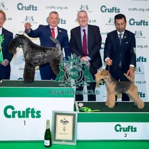 Crufts 2020