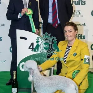 Crufts 2020