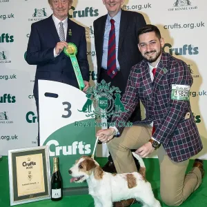 Crufts 2020