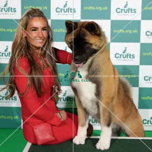 Crufts 2022