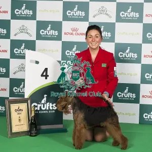 Crufts 2024 Best in Group Terrier 4th Place Welsh Terrier 16146 - Ch Perrisblu The Phantom, Breed: Welsh Terrier (Ms C Cole)