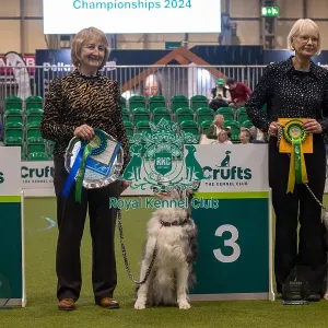 Crufts 2024 Official photos by Robert Simpson, RKC102318