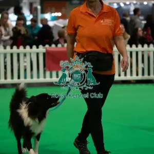 CRUFTS 2024- Thursday