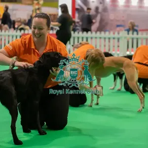 CRUFTS 2024- Thursday