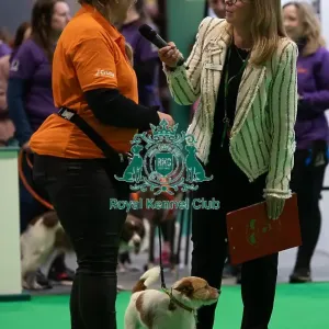 CRUFTS 2024- Thursday