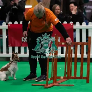 CRUFTS 2024- Thursday