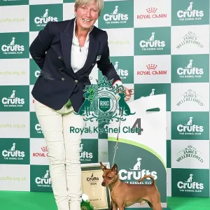 Crufts 2024 - Toy Group 4 Ch Hawksflight Hot Pursuit JW Owners: Ms T & Miss J Watkins & Bugden