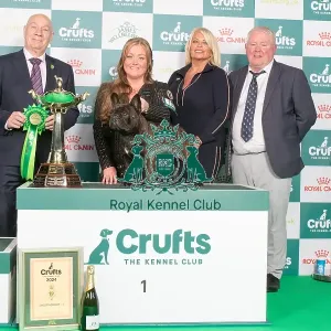 Crufts 2024 - Utility Group 1 Ch/esp Ch Chelmbull Rocket Man Ww Owners: Miss A & Mr D, Mr A & Mrs L Cund & Harrop