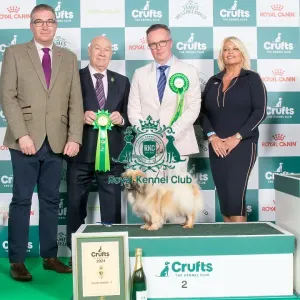 Crufts 2024 - Utility Group 2 Ch Castafiore Riddhima Owners Mr A & Mr L Moran & Prouve