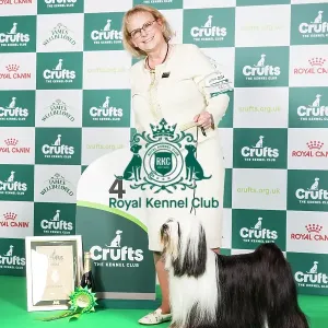 Crufts 2024 - Utility Group 4 Am Gchg Barnstorm One Chance Fancy by Dzine Owners: Mrs D & Mrs P & Ms L & Ms M Planche & Bernardo & Cook & Demers