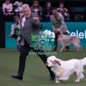 Crufts 2025 Saturday