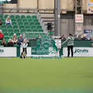 Crufts 2026 Obedience, RKC128184