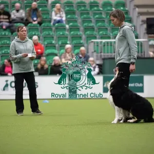 Crufts 2026 Obedience, RKC128185