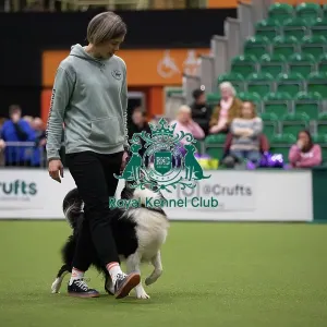Crufts 2026 Obedience, RKC128186