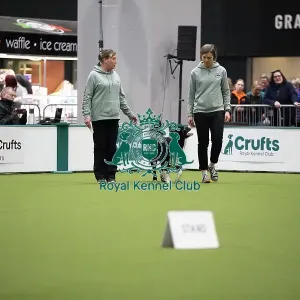 Crufts 2026 Obedience, RKC128188