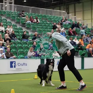 Crufts 2026 Obedience, RKC128192