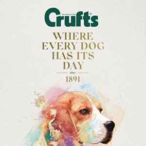 Crufts poster 2020 artwork featuring Beagle