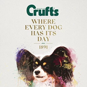 Crufts poster 2020 artwork featuring Papillon