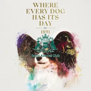 Crufts poster 2020 artwork featuring Papillon