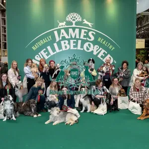 D-C-D-0-1-9-0 Crufts 2024 NEC Birmingham Day 3 D-C-D-0-1-9-0 Crufts 2024 NEC Birmingham Day 3