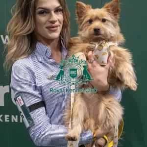 D-C-D-0-1-9-0 Crufts 2024 NEC Birmingham Day 3 D-C-D-0-1-9-0 Crufts 2024 NEC Birmingham Day 3