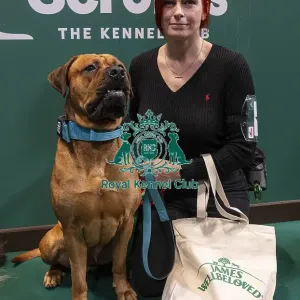 D-C-D-0-1-9-0 Crufts 2024 NEC Birmingham Day 3 D-C-D-0-1-9-0 Crufts 2024 NEC Birmingham Day 3