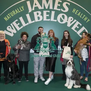 D-C-D-0-1-9-0 Crufts 2024 NEC Birmingham Day 3 D-C-D-0-1-9-0 Crufts 2024 NEC Birmingham Day 3