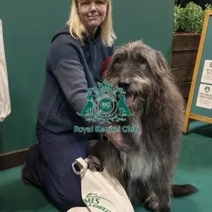 D-C-D-0-1-9-0 Crufts 2024 NEC Birmingham Day 3 D-C-D-0-1-9-0 Crufts 2024 NEC Birmingham Day 3