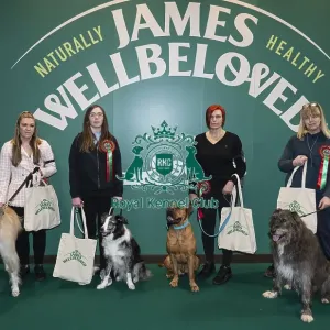 D-C-D-0-1-9-0 Crufts 2024 NEC Birmingham Day 3 D-C-D-0-1-9-0 Crufts 2024 NEC Birmingham Day 3