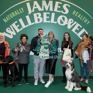 D-C-D-0-1-9-0 Crufts 2024 NEC Birmingham Day 3 D-C-D-0-1-9-0 Crufts 2024 NEC Birmingham Day 3