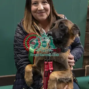 D-C-D-0-1-9-0 Crufts 2024 NEC Birmingham Day 3 D-C-D-0-1-9-0 Crufts 2024 NEC Birmingham Day 3