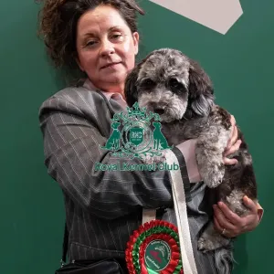 D-C-D-0-1-9-0 Crufts 2024 NEC Birmingham Day 3 D-C-D-0-1-9-0 Crufts 2024 NEC Birmingham Day 3