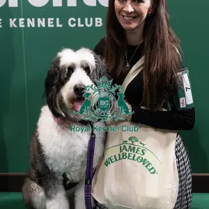 D-C-D-0-1-9-0 Crufts 2024 NEC Birmingham Day 3 D-C-D-0-1-9-0 Crufts 2024 NEC Birmingham Day 3
