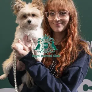 D-C-D-0-1-9-0 Crufts 2024 NEC Birmingham Day 3 D-C-D-0-1-9-0 Crufts 2024 NEC Birmingham Day 3