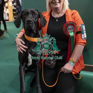 D-C-D-0-1-9-0 Crufts 2024 NEC Birmingham Day 3 D-C-D-0-1-9-0 Crufts 2024 NEC Birmingham Day 3