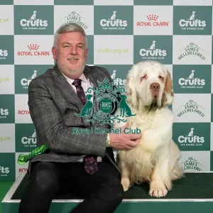 D-C-D-0-1-9-0 Crufts 2024 NEC Birmingham Gundog D-C-D-0-1-9-0 Crufts 2024 NEC Birmingham Gundog