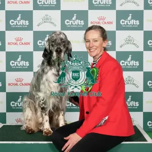 D-C-D-0-1-9-0 Crufts 2024 NEC Birmingham Gundog D-C-D-0-1-9-0 Crufts 2024 NEC Birmingham Gundog