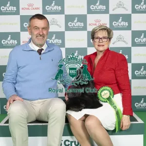 D-C-D-0-1-9-0 Crufts 2024 NEC Birmingham Gundog D-C-D-0-1-9-0 Crufts 2024 NEC Birmingham Gundog