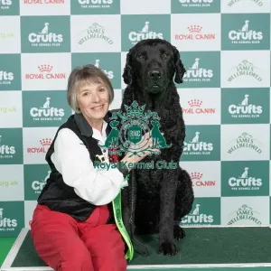 D-C-D-0-1-9-0 Crufts 2024 NEC Birmingham Gundog D-C-D-0-1-9-0 Crufts 2024 NEC Birmingham Gundog
