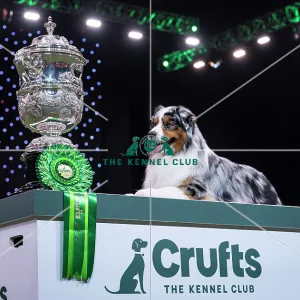 Collections: Crufts 2024