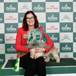 D-C-D-0-1-9-0 Crufts 2024 NEC Birmingham Terrier D-C-D-0-1-9-0 Crufts 2024 NEC Birmingham Terrier