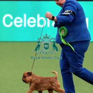 D-C-D-0-1-9-0 Crufts 2024 NEC Birmingham Toy D-C-D-0-1-9-0 Crufts 2024 NEC Birmingham Toy